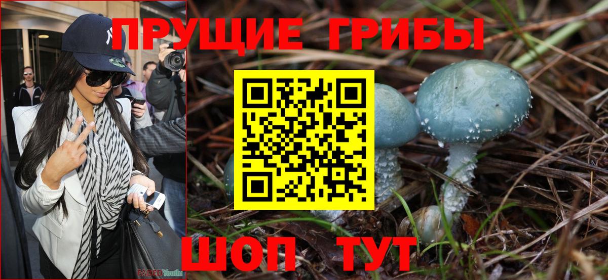 Галлюциногенные грибы ЛСД  купить  цена  Богородицк  Вход с VPN 
