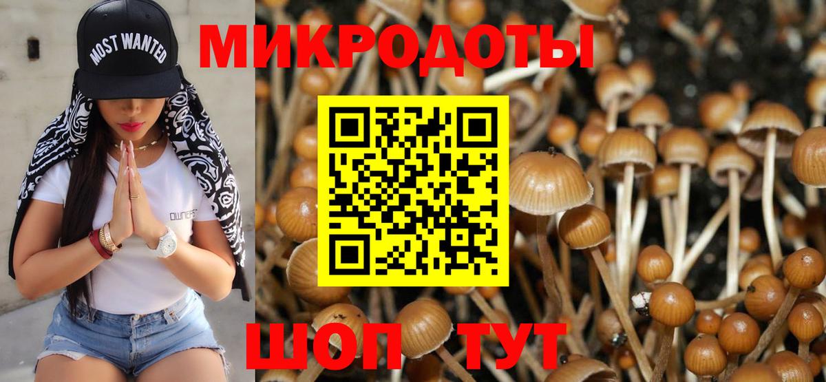 Галлюциногенные грибы Magic Shrooms Богородицк